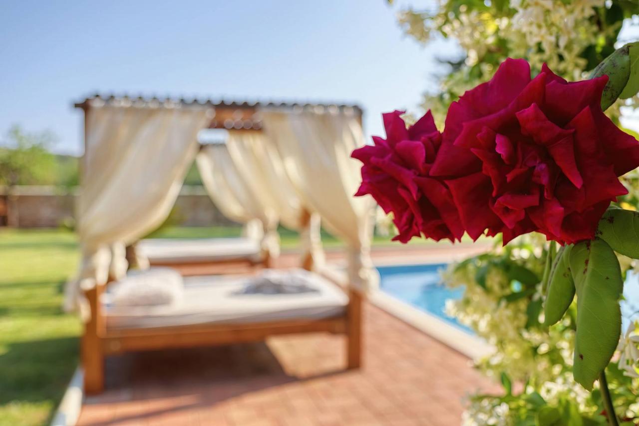 Holiday Home Giardino Marino Pomer Ngoại thất bức ảnh